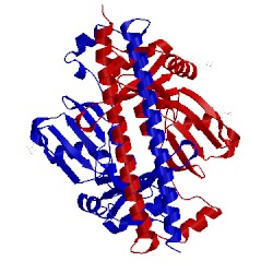 Image of CATH 4wii
