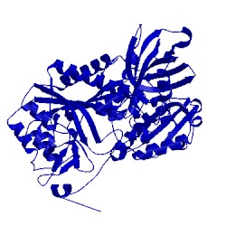 Image of CATH 4wj4