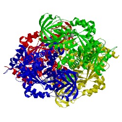 Image of CATH 4wj8