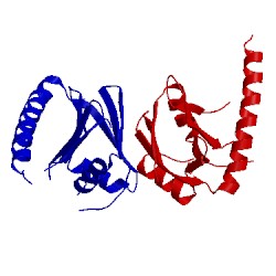 Image of CATH 4wja
