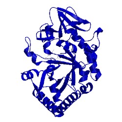 Image of CATH 4wk9