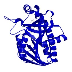 Image of CATH 4wkc