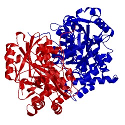 Image of CATH 4wlj