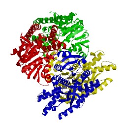 Image of CATH 4wln