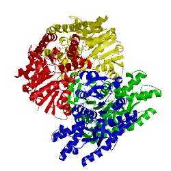 Image of CATH 4wlu