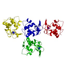 Image of CATH 4wm6