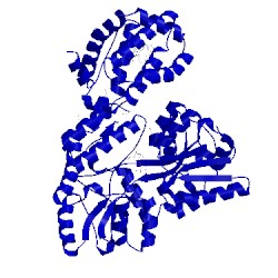 Image of CATH 4wmt