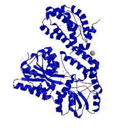 Image of CATH 4wmx