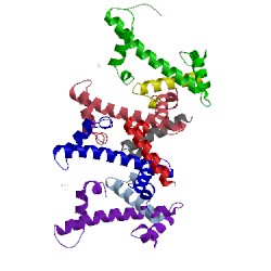 Image of CATH 4wnn