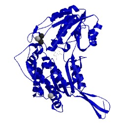 Image of CATH 4wpn