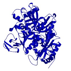 Image of CATH 4wpu