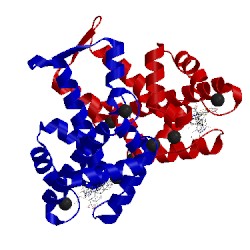 Image of CATH 4wq3