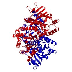 Image of CATH 4wq6
