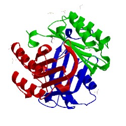 Image of CATH 4wrb