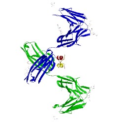 Image of CATH 4wrl