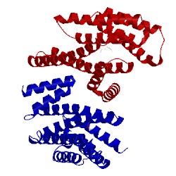 Image of CATH 4wrq