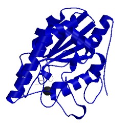 Image of CATH 4wru