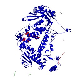 Image of CATH 4wsa