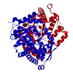 Image of CATH 4wsh