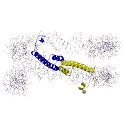 Image of CATH 4wu8