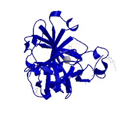 Image of CATH 4ww6