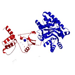 Image of CATH 4wx2