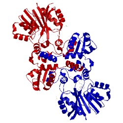 Image of CATH 4wxh