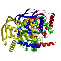 Image of CATH 4wxl