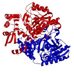 Image of CATH 4wyc