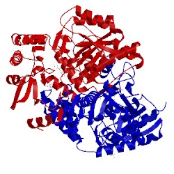 Image of CATH 4wye