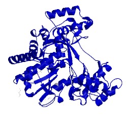 Image of CATH 4wyl