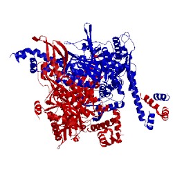 Image of CATH 4wyo