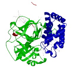 Image of CATH 4x0l