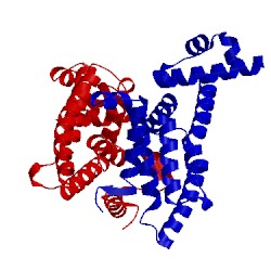 Image of CATH 4x1e