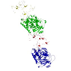 Image of CATH 4x1k