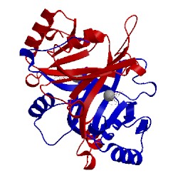Image of CATH 4x2a