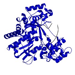 Image of CATH 4x2b