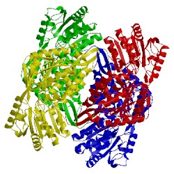 Image of CATH 4x2q