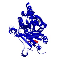 Image of CATH 4x3o
