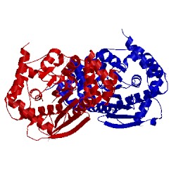 Image of CATH 4x5d