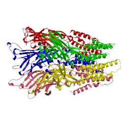 Image of CATH 4x5t