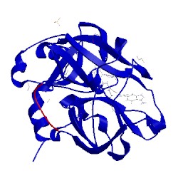 Image of CATH 4x6n