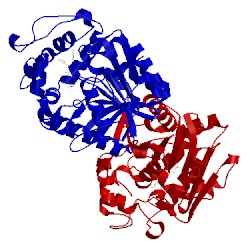 Image of CATH 4x6x
