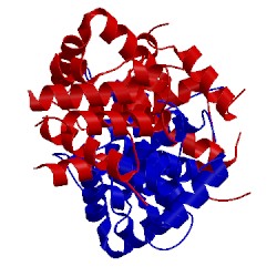 Image of CATH 4x82