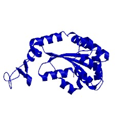 Image of CATH 4x8m