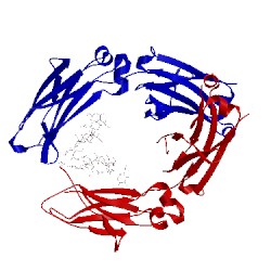 Image of CATH 4x98
