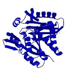 Image of CATH 4x9x