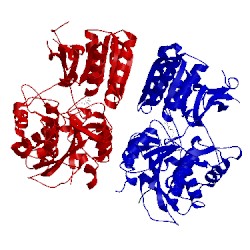 Image of CATH 4xas