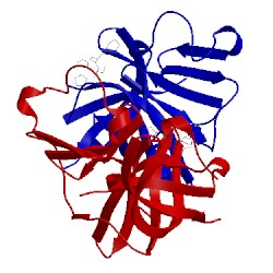 Image of CATH 4xbd