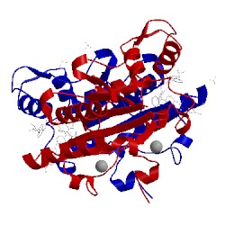 Image of CATH 4xdh